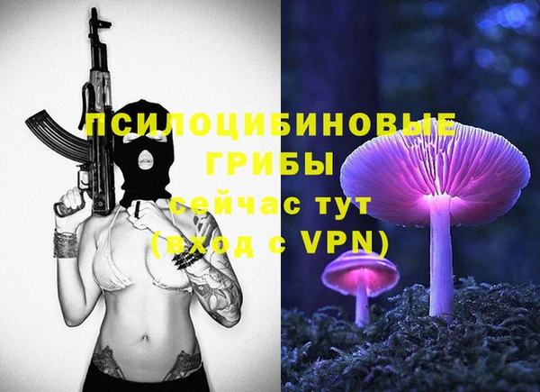 хмурый Кукмор