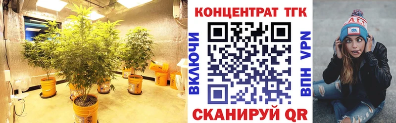 Купить закладки  Подольск  Дистиллят ТГК концентрат 