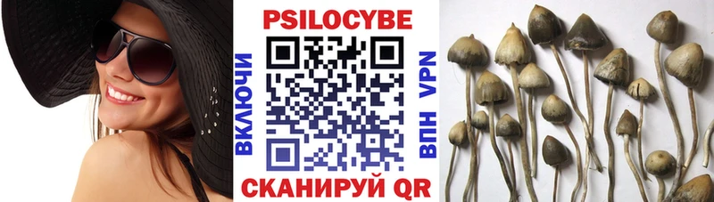 Галлюциногенные грибы Magic Shrooms  Купить закладки  Подольск 